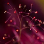 乱小说阅读目录 exau3s4b79