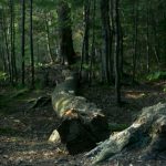 免费A级作爱片免费观看美国 ypd75fzi