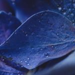 小黄书写真:探索隐秘世界的艺术与魅力之旅 rj8mcg4