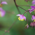 探索大米星球:如何访问Netflix官网入口 4o1bwqo6