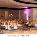 探索Palipali2 CC:全新社交平台的魅力与功能 54nw2