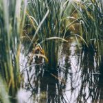 探索JMTT Comic:揭开漫画背后的创作故事与魅力 gbg8bach