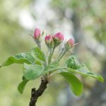 探索ACG18幻想次元发布页的奇幻世界与精彩内容 y6madqn